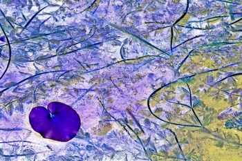N 055A